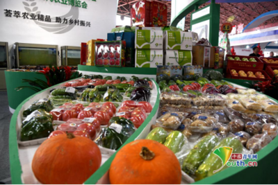 第九屆唐山農(nóng)產(chǎn)品展示交易會(huì)暨樂(lè)亭現(xiàn)代農(nóng)業(yè)博覽會(huì)開(kāi)幕，聚焦畜產(chǎn)品購(gòu)銷(xiāo)貿(mào)易