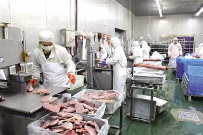 豐都構建“三大體系”打通發展瓶頸，以“三步走”探索食品及農產品加工高質量發展新路徑