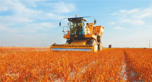 PE如何與中國農業企業對接畜產品購銷貿易