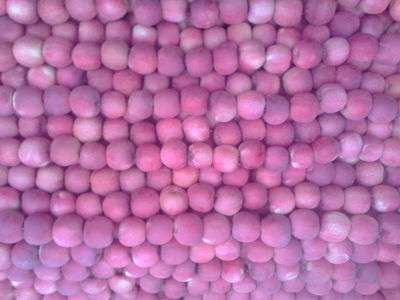 靜寧金色園 源自中國有機蘋果基地的“三無”臻品