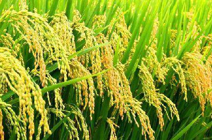 好產品，溯源碼訴說；高品質，細節中彰顯