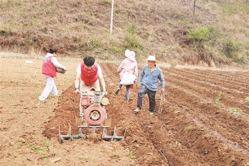助農小分隊田間行，農事繁忙展新顏